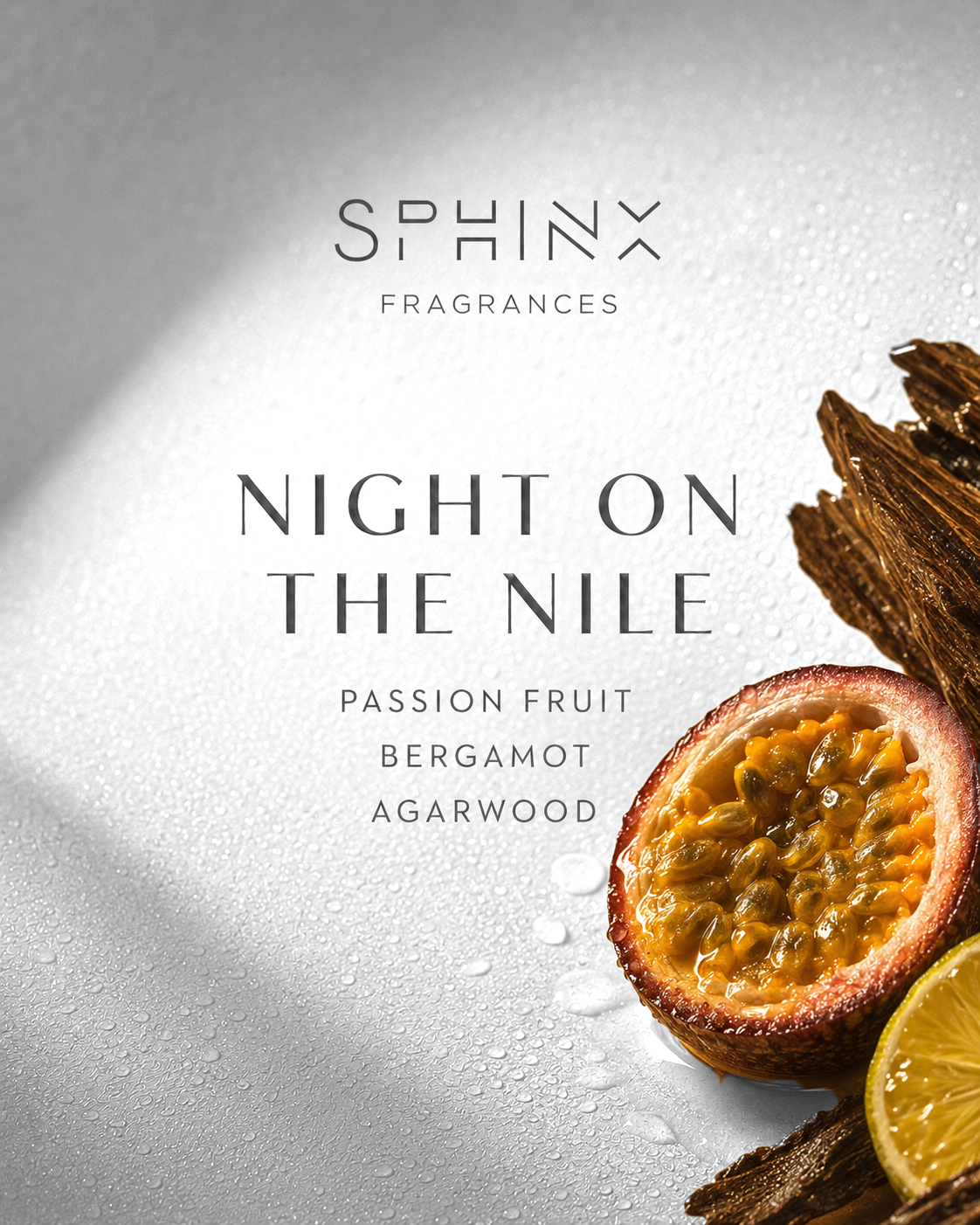 Night On The Nile
