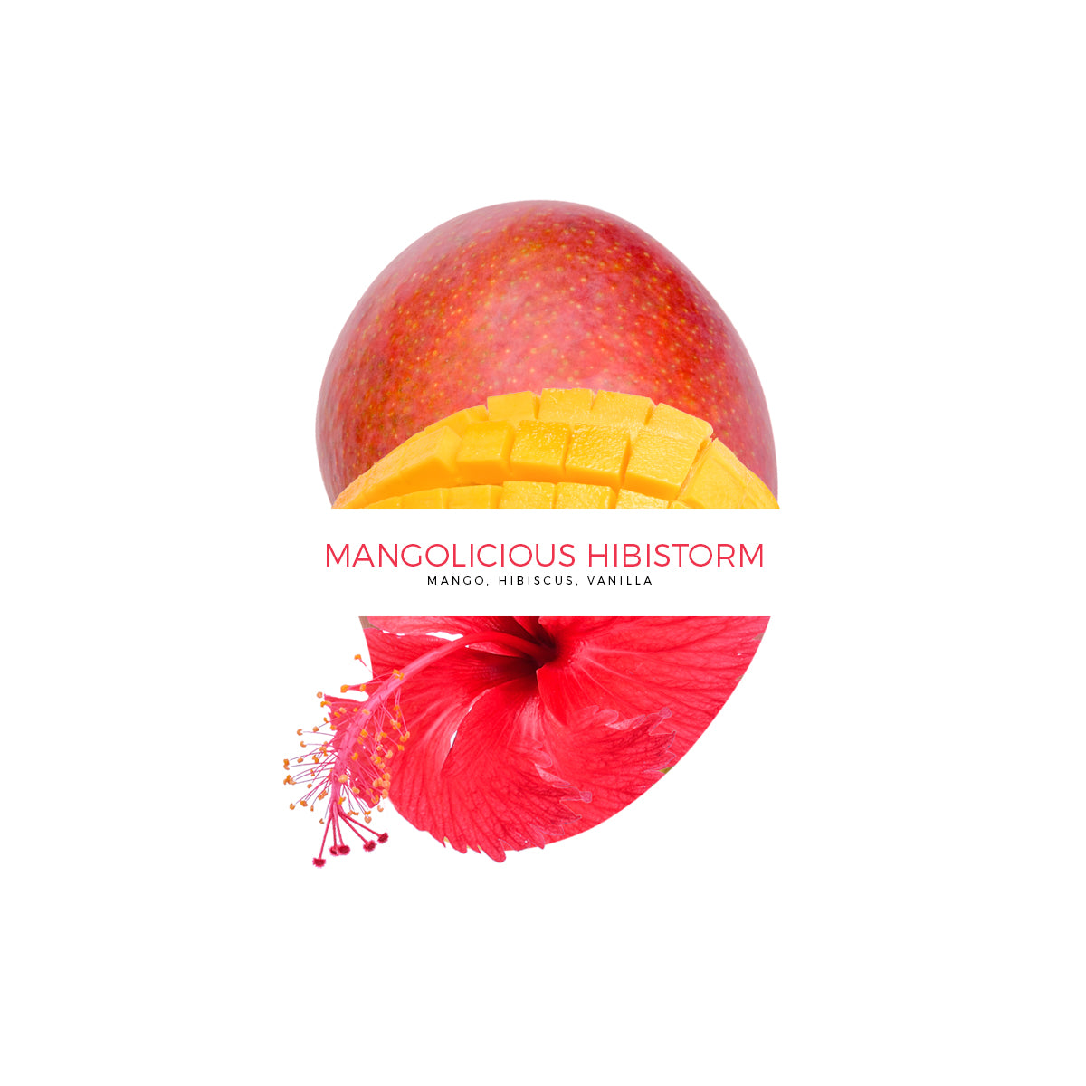 Mangolicious Hibistorm